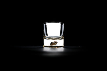 Dinosaur Bone Shard Tumbler - Set of 2