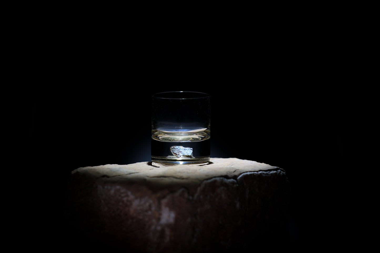 Dinosaur Bone Shard Tumbler - Set of 2