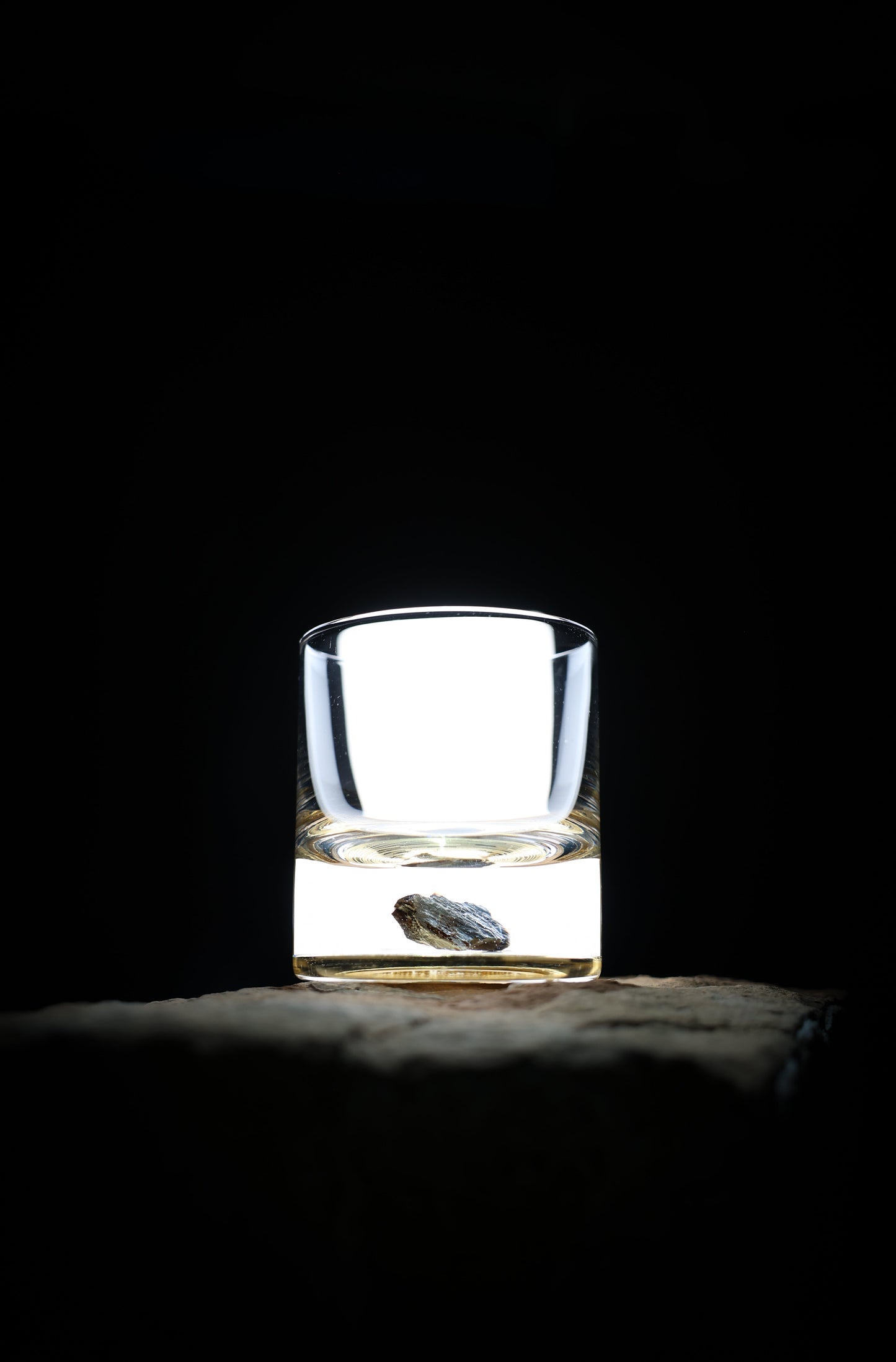 Dinosaur Bone Shard Tumbler - Set of 2