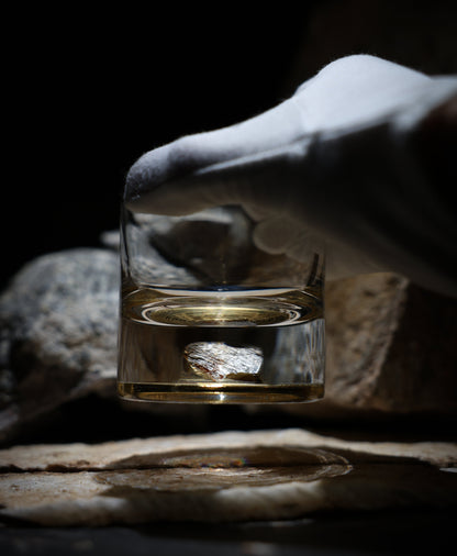Dinosaur Bone Shard Tumbler - Set of 2